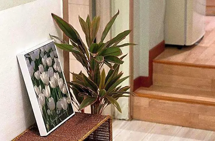 Jnineguesthouse Hotel
